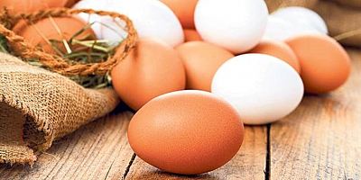 Yumurta hakkında 2 zıt görüş