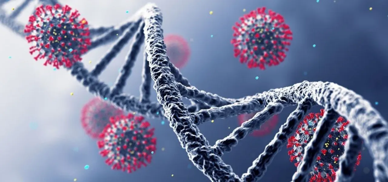 6 yıl sonra Kovid-19 gerçeği: DSÖ’den kritik uyarı