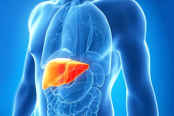 Karaciğer yağlanması hızla yayılıyor: Uzmanlardan 2050 için kritik uyarı