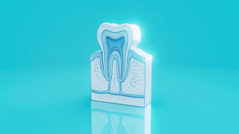 Yeni diş üreten tedavi klinik aşamada