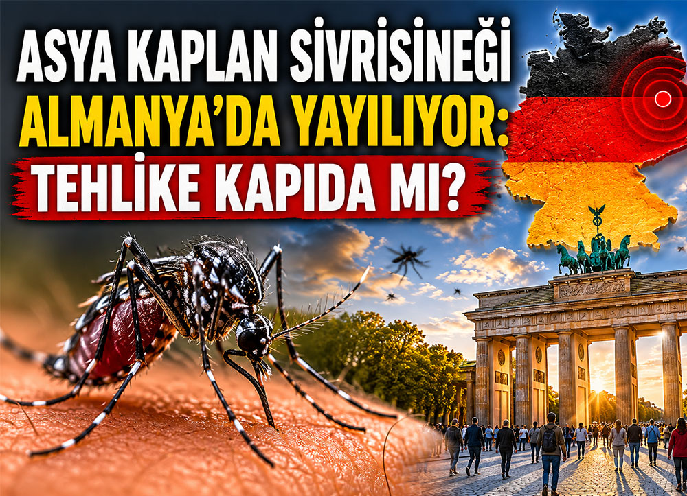 Tropikal tehdit Avrupa’da: Kaplan sivrisineği yayılıyor
