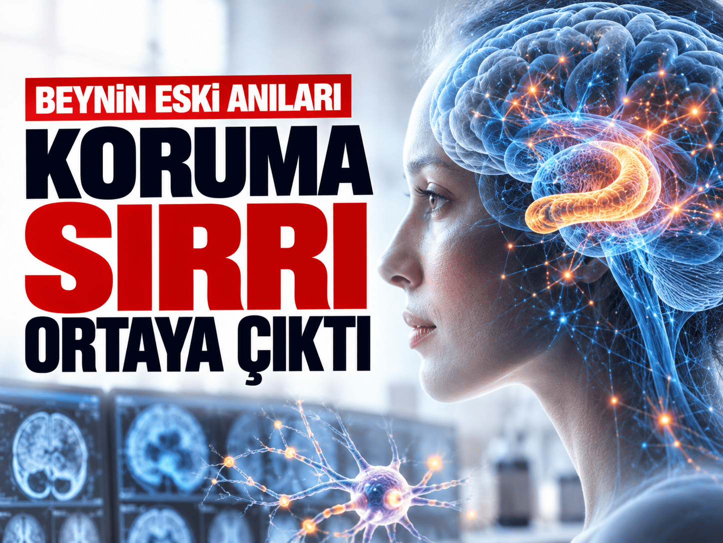 Beynin eski anıları koruma sırrı ortaya çıktı